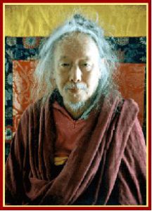 Chimed Rigzin Rinpoche